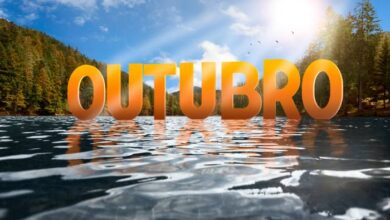 vegamovies hdhub4u south hindi dubbed