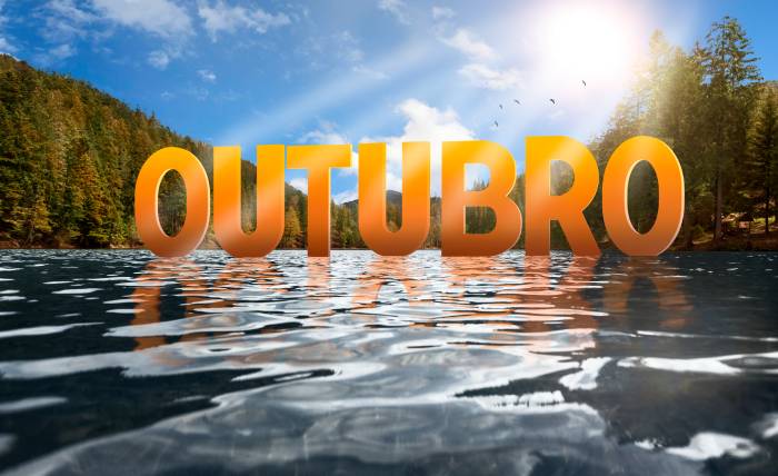 vegamovies hdhub4u south hindi dubbed