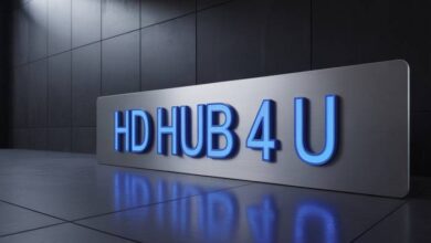 hd hub 4 u