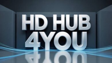 hd hub 4you