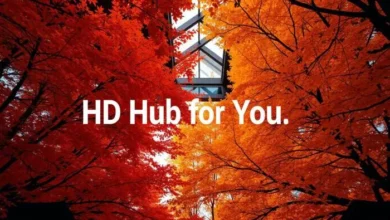 hd hub for you