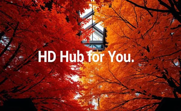 hd hub for you
