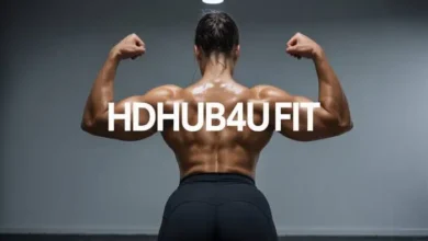 hdhub4u fit